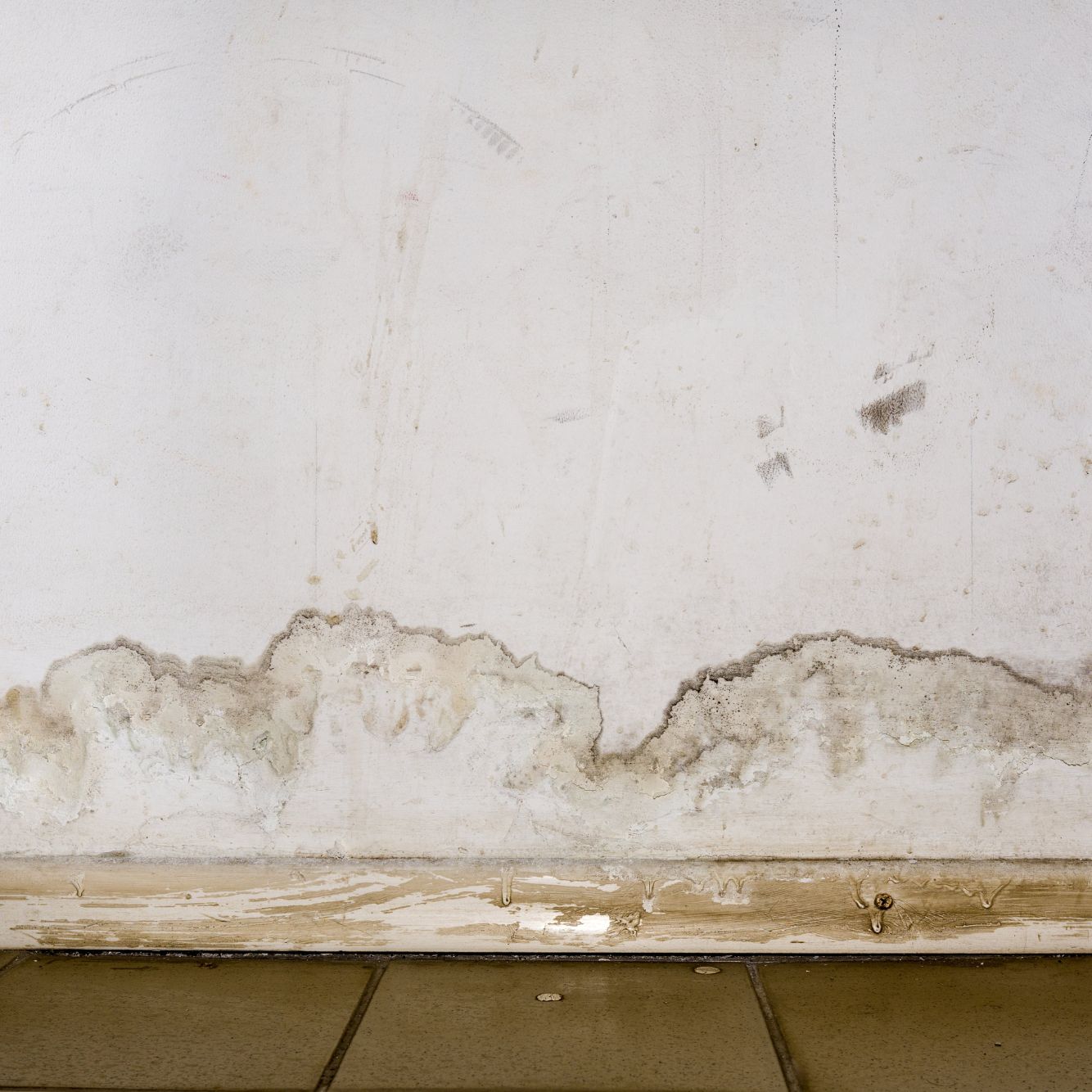 Dealing with damp and mould - Metropolitan Thames Valley
